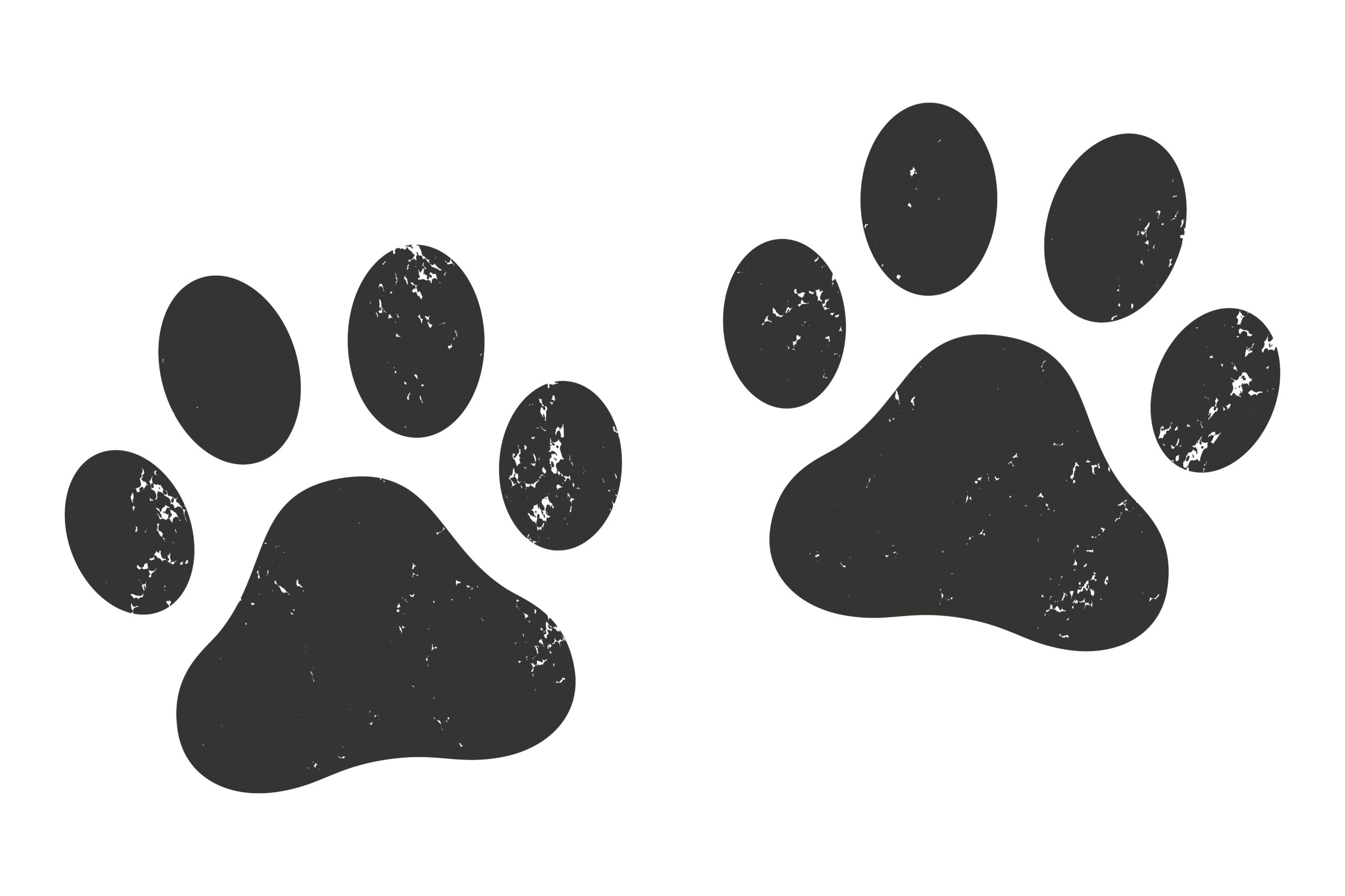 stamp_texture_paw_prints